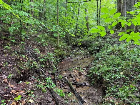 Off Donald Mccall Road Balsam Grove NC 28708