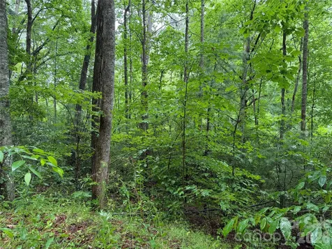 Off Donald Mccall Road Balsam Grove NC 28708