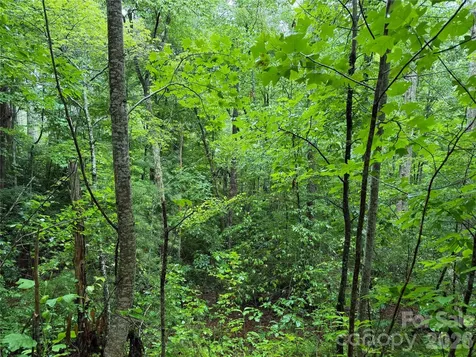 Off Donald Mccall Road Balsam Grove NC 28708