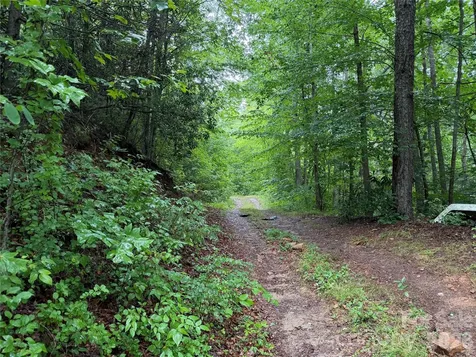 Off Donald Mccall Road Balsam Grove NC 28708