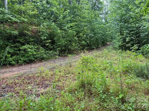 Off Donald Mccall Road Balsam Grove NC 28708