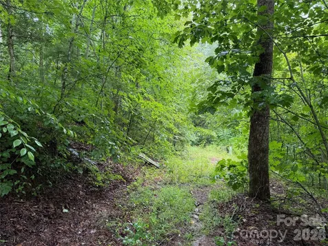 Off Donald Mccall Road Balsam Grove NC 28708