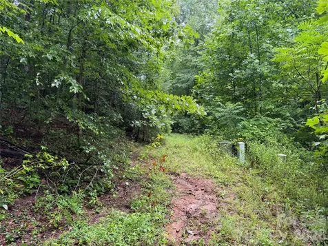 Off Donald Mccall Road Balsam Grove NC 28708