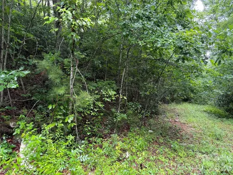 Off Donald Mccall Road Balsam Grove NC 28708