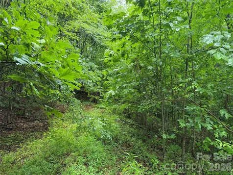 Off Donald Mccall Road Balsam Grove NC 28708