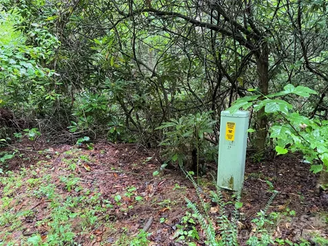 Off Donald Mccall Road Balsam Grove NC 28708