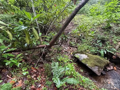 Off Donald Mccall Road Balsam Grove NC 28708