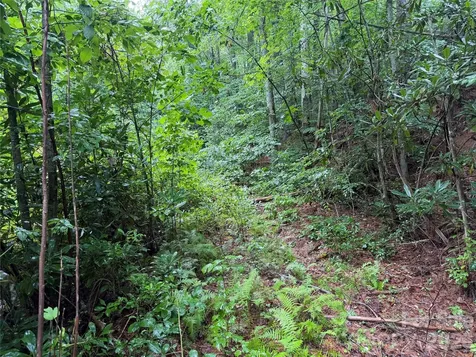Off Donald Mccall Road Balsam Grove NC 28708