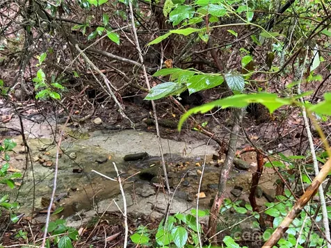 Off Donald Mccall Road Balsam Grove NC 28708