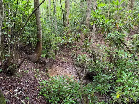 Off Donald Mccall Road Balsam Grove NC 28708