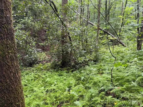 Off Donald Mccall Road Balsam Grove NC 28708