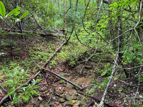 Off Donald Mccall Road Balsam Grove NC 28708