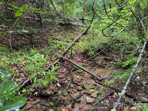 Off Donald Mccall Road Balsam Grove NC 28708