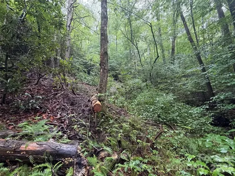 Off Donald Mccall Road Balsam Grove NC 28708