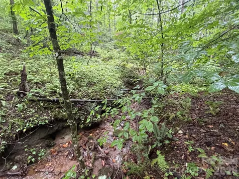 Off Donald Mccall Road Balsam Grove NC 28708