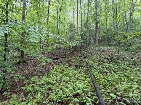 Off Donald Mccall Road Balsam Grove NC 28708