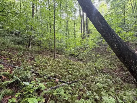 Off Donald Mccall Road Balsam Grove NC 28708