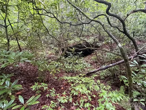 Off Donald Mccall Road Balsam Grove NC 28708
