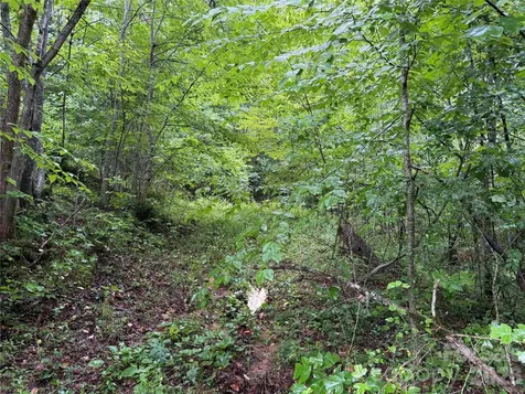 Off Donald Mccall Road Balsam Grove NC 28708