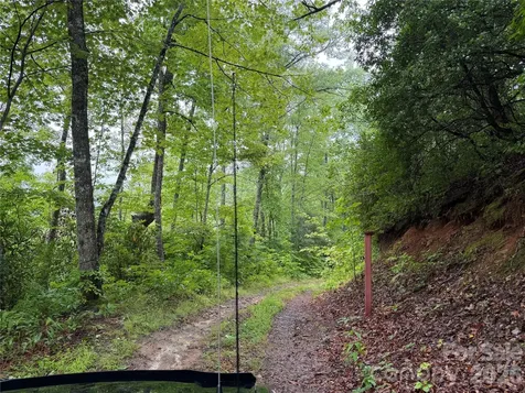 Off Donald Mccall Road Balsam Grove NC 28708