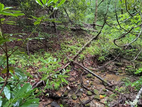 Off Donald Mccall Road Balsam Grove NC 28708