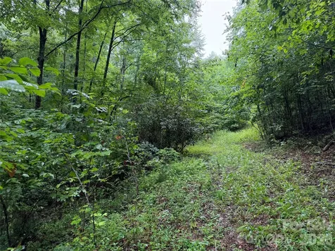 Off Donald Mccall Road Balsam Grove NC 28708