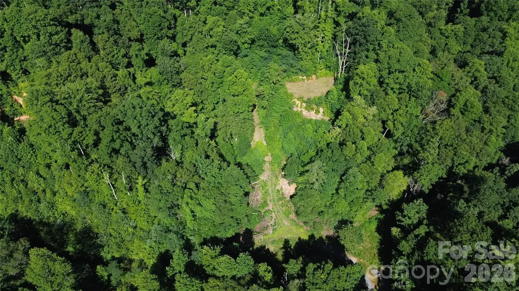 99999 Morgan Hill Road Black Mountain NC 28711