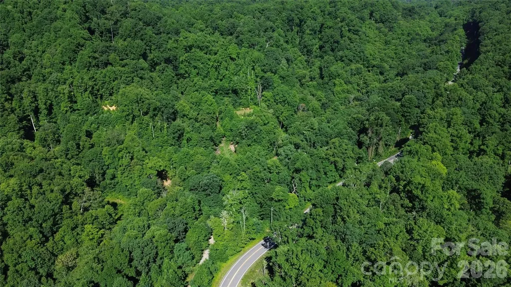 99999 Morgan Hill Road Black Mountain NC 28711
