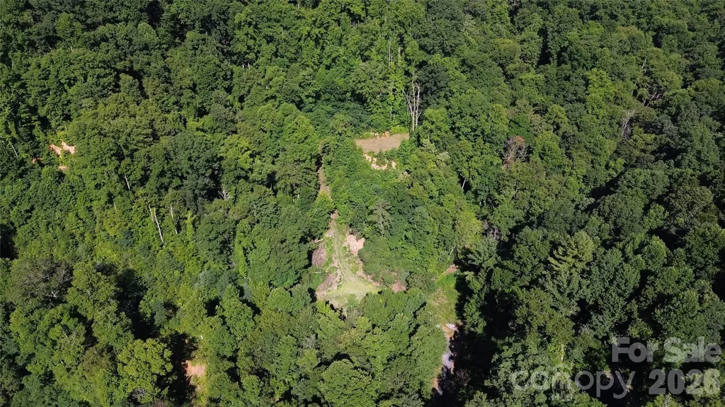 99999 Morgan Hill Road Black Mountain NC 28711