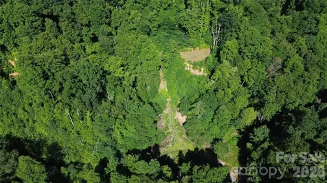 99999 Morgan Hill Road Black Mountain NC 28711