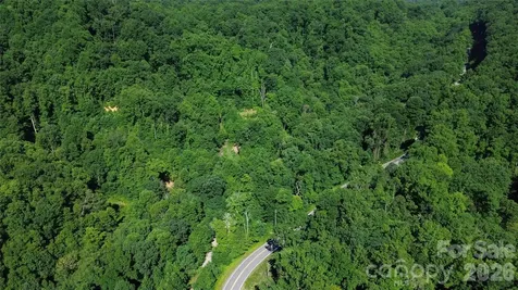 99999 Morgan Hill Road Black Mountain NC 28711
