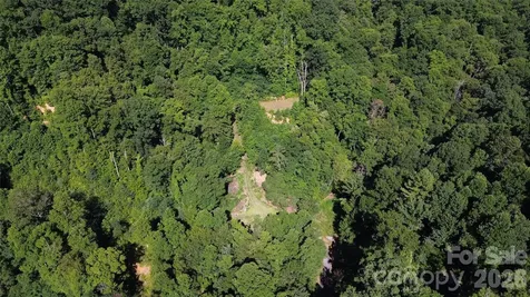 99999 Morgan Hill Road Black Mountain NC 28711