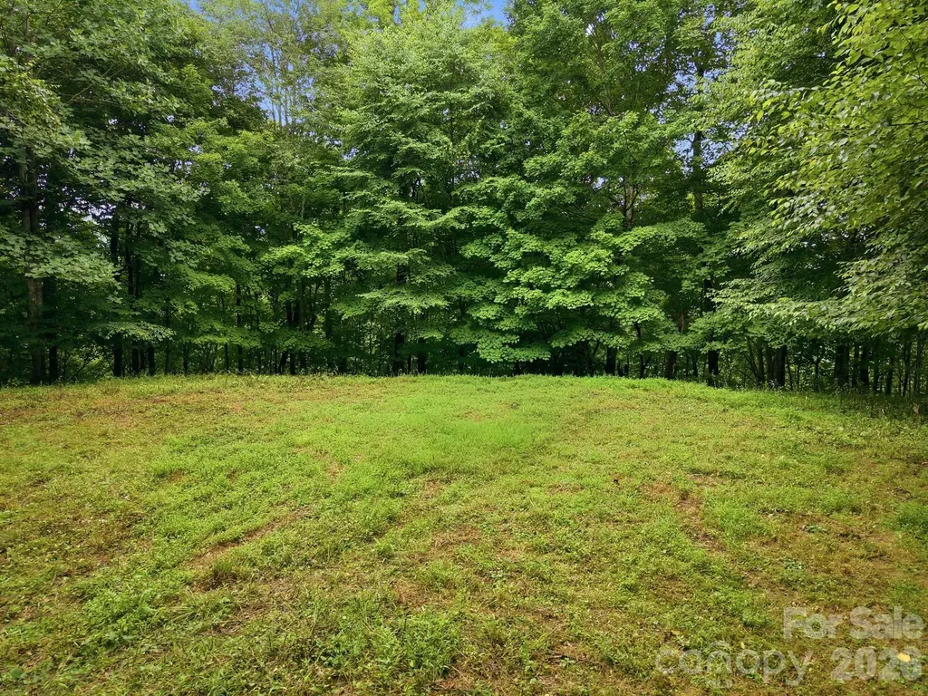 220 Screaming Eagle Drive Mars Hill NC 28754
