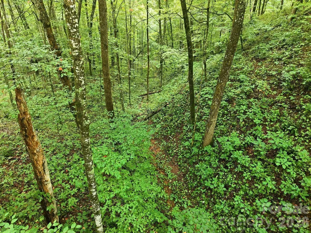 220 Screaming Eagle Drive Mars Hill NC 28754