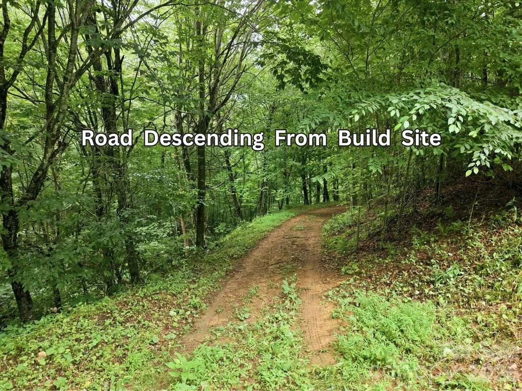 220 Screaming Eagle Drive Mars Hill NC 28754