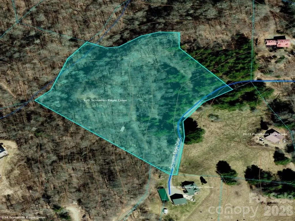 220 Screaming Eagle Drive Mars Hill NC 28754