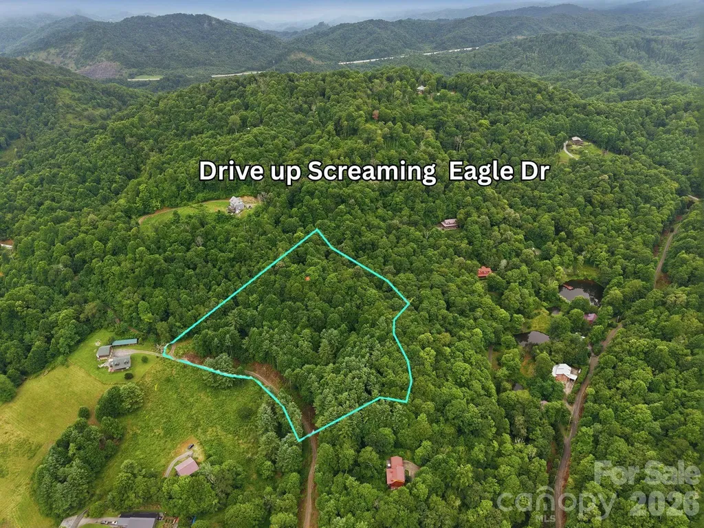 220 Screaming Eagle Drive Mars Hill NC 28754