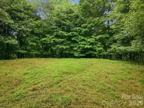 220 Screaming Eagle Drive Mars Hill NC 28754