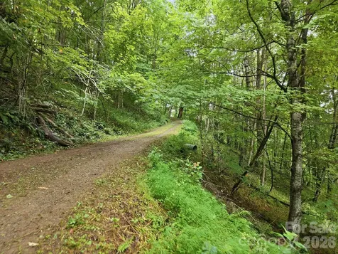 220 Screaming Eagle Drive Mars Hill NC 28754