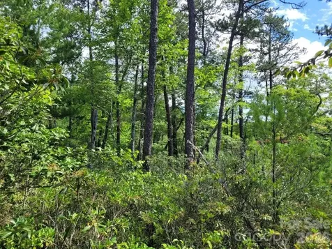 0 Oconee Drive Marion NC 28752
