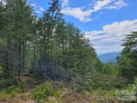 0 Oconee Drive Marion NC 28752