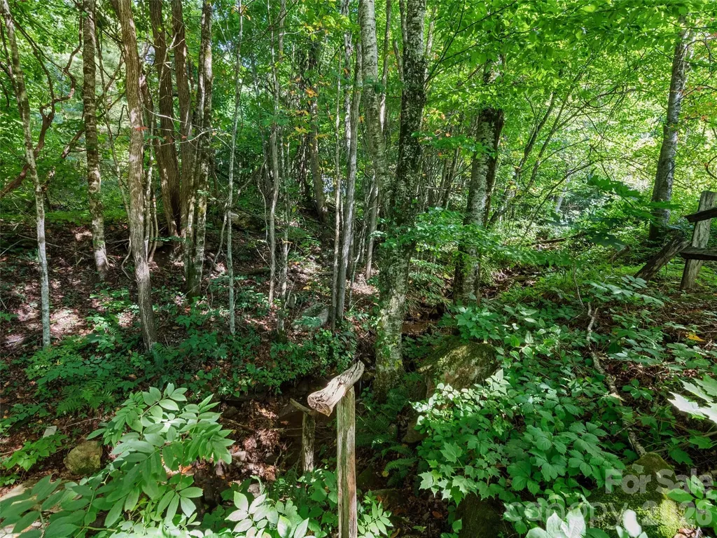 51 Atari Road Waynesville NC 28786