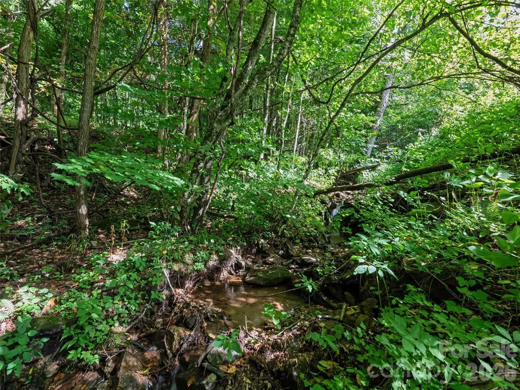 51 Atari Road Waynesville NC 28786