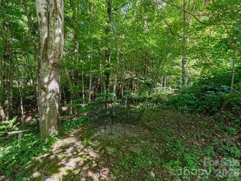51 Atari Road Waynesville NC 28786