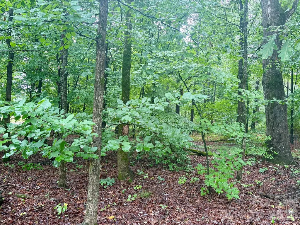 0 Sherrills Ford Road Sherrills Ford NC 28673