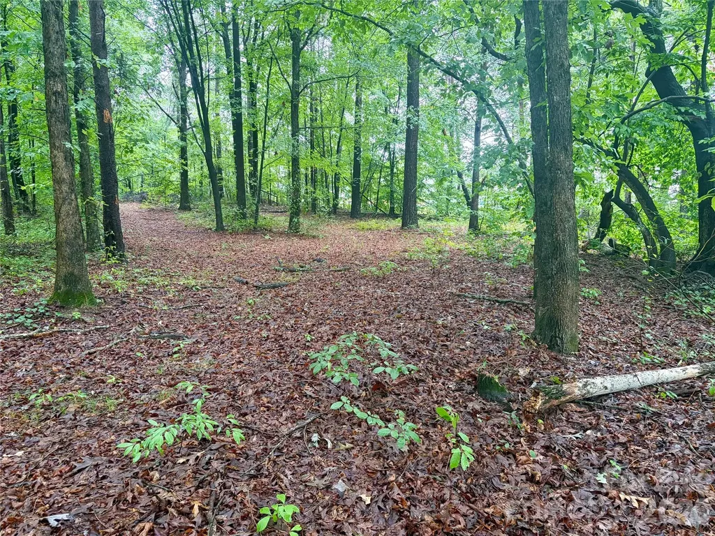 0 Sherrills Ford Road Sherrills Ford NC 28673