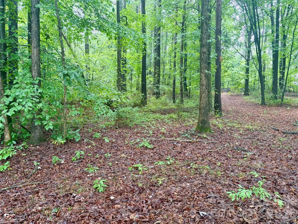 0 Sherrills Ford Road Sherrills Ford NC 28673