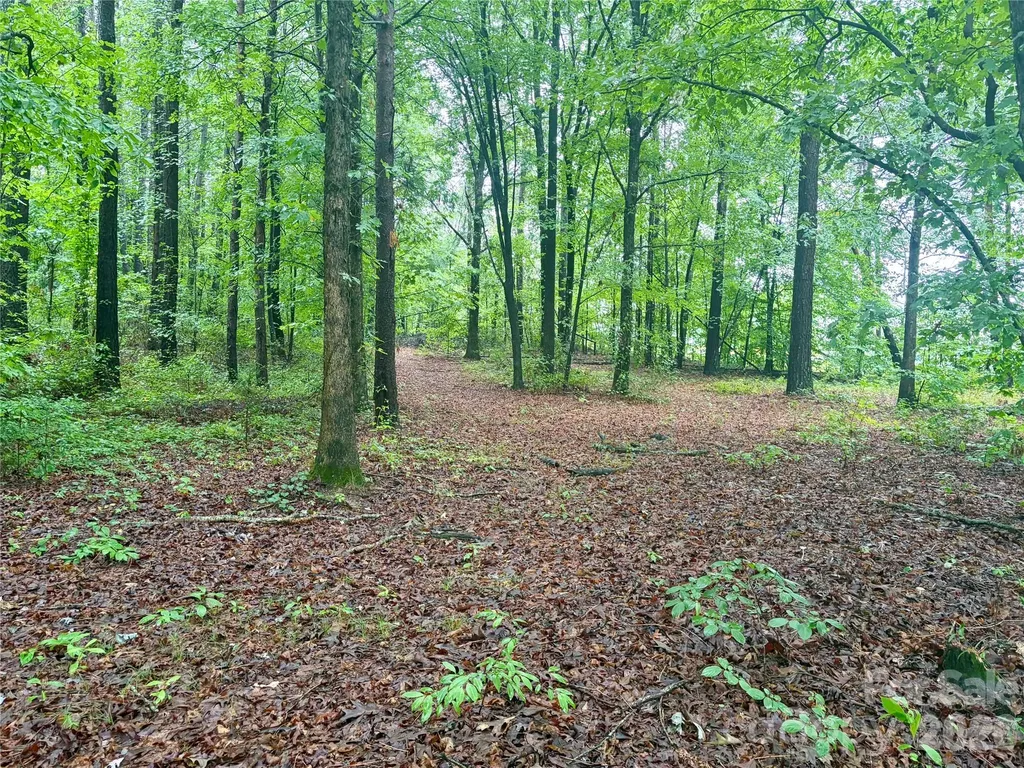 0 Sherrills Ford Road Sherrills Ford NC 28673