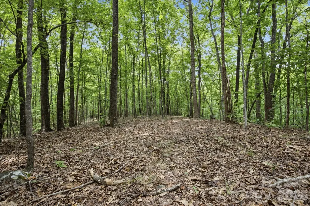 316-318 Cane Creek Mountain Road Union Mills NC 28167