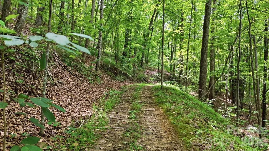 316-318 Cane Creek Mountain Road Union Mills NC 28167